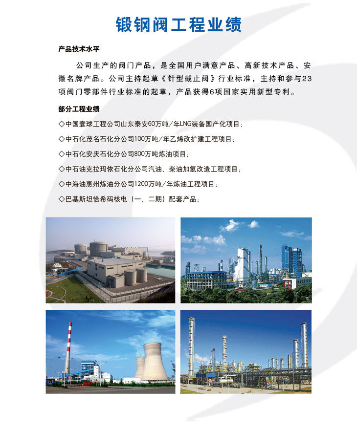 锻钢阀工程业绩(图1)